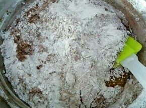 低粉和可可粉10克混合均匀，筛入盆中搅拌成面团