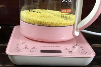 将小米倒入养生壶中
