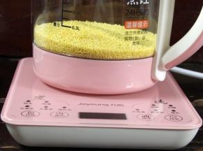 将小米倒入养生壶中