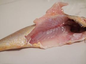 新鲜的小梅鱼6条，把小梅鱼处理干净