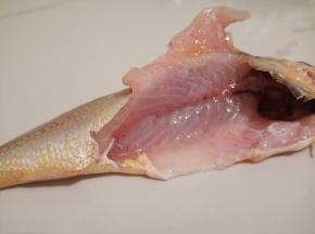 新鲜的小梅鱼6条，把小梅鱼处理干净