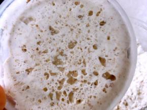 发酵好的酵头闻起来有一点点的酸味，透过玻璃容器可以看到很多蜂窝煤状的洞