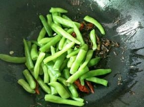 下四季豆