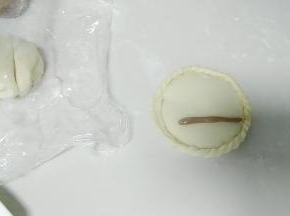 可可粉面团，做汉字。