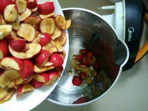 果肉放入豆浆机。