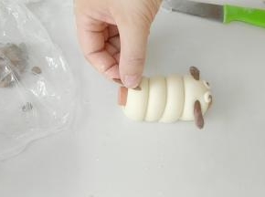 粘上尾巴，就可以啦！中小火哦，这样馒头皮光滑。