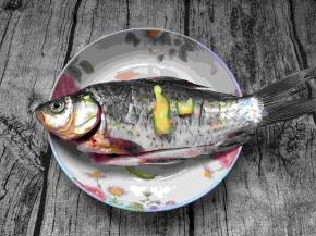 鲫鱼两面用刀划开，加入生姜和料酒腌制七八分钟