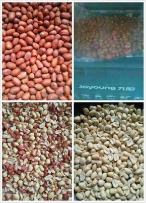 我用自己家生花生烤熟的，大家可以买现成的。