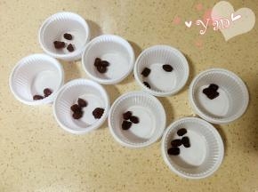 3、杯子放入蜜豆或喜欢的果干。