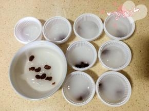 6、搅拌至凝结成藕粉状态，迅速倒入杯子里，动作要快。