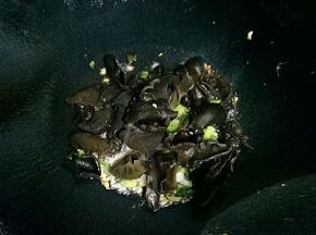 放入黑木耳翻炒