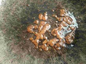 炒出糖色
