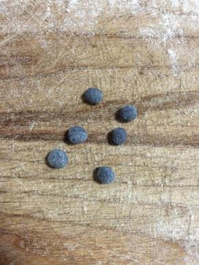 团出小圆型做熊猫的鼻子