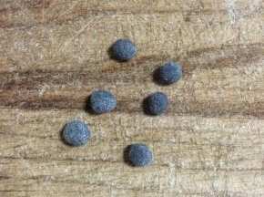 团出小圆型做熊猫的鼻子