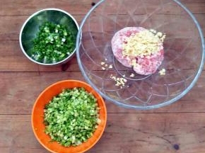 把香葱，芹菜，猪肉，姜切末(猪肉和姜放入碗中)