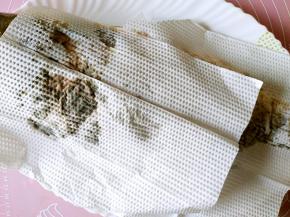 用厨房纸巾吸干鱼身上的水