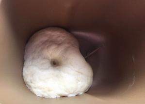 发酵至两倍大即可