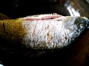 油热之后把鱼放进去