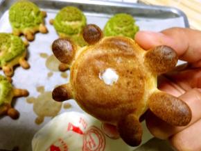 淡奶油装入裱花袋，用最小的圆形裱花嘴，在乌龟底部戳个洞，挤满奶油即可食用