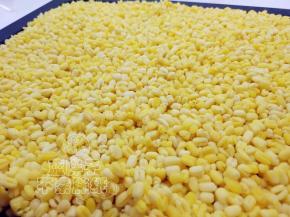 浸泡好的绿豆用蒸烤箱蒸28分钟，直到绿豆熟透。