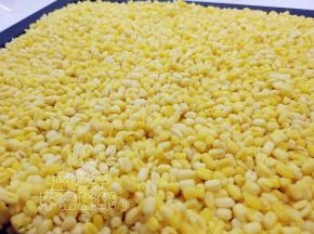 浸泡好的绿豆用蒸烤箱蒸28分钟，直到绿豆熟透。