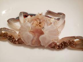 螃蟹的腮给清理干净