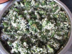 韭菜花只要花的部分，洗净