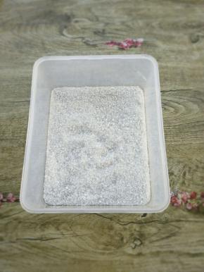 把容器的底部均匀的撒上一层椰蓉。