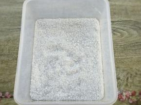 把容器的底部均匀的撒上一层椰蓉。