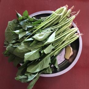 准备食材：菠菜、生姜