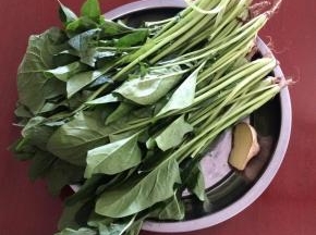 准备食材：菠菜、生姜