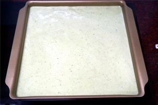 倒在刚才烤好的图案上，拍打烤盘底部震荡出大气泡，表面抹平。