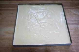 然后倒入垫了硅胶垫的方形烤盘中，抹平并震荡出大气泡。