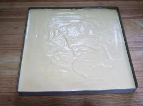 然后倒入垫了硅胶垫的方形烤盘中，抹平并震荡出大气泡。