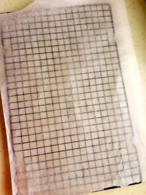 14、烤网上铺上一张油纸