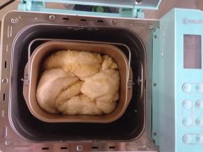 选择发酵50分钟