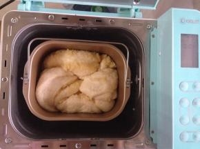 选择发酵50分钟