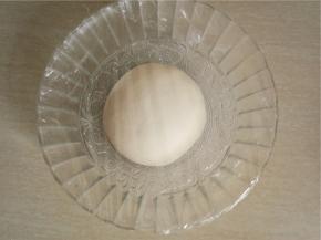 将中种材料混合揉成光滑面团，室温发酵。