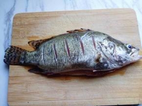 桂鱼的两面背上全部划上刀痕。(这样腌制时容易入味。)