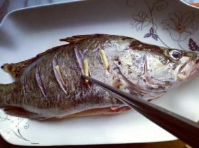 将切好的姜丝放入鱼背的划痕处，每个划痕处用筷子夹一条姜丝放入划痕的鱼肉里。