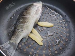 煎锅放少许油，放入几片生姜，将鲫鱼放入锅中