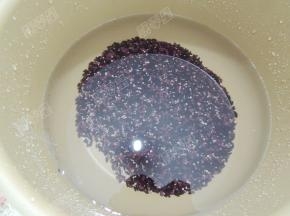 材料放入电压力锅内胆，加入水，选择粥程序