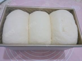 把吐司盒放入温度38度，湿度85%的条件下最后发酵。我是放在烤箱中，放入一碗开水，在放一个烤箱温度计监测，碗中的水稍凉就换一碗水