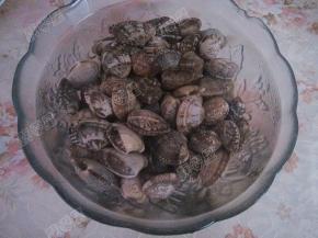 买回来的蛤蜊放入淡盐水中浸泡三小时吐沙