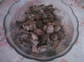 买回来的蛤蜊放入淡盐水中浸泡三小时吐沙