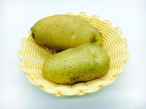 主要食材土豆