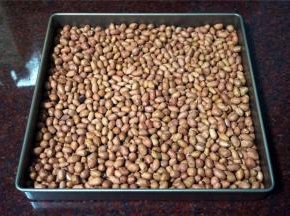 烤箱上下火150度预热，将带皮花生倒入方形烤盘中，放入预热好的烤箱中层，烘20分钟，取出。