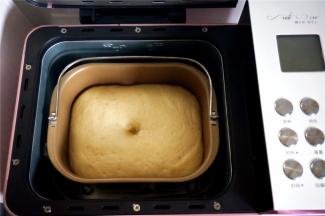 取出搅拌刀，将面团揉圆，放入面包机里，盖上保鲜膜，启动酸奶发酵程序，发酵至两倍大即可。