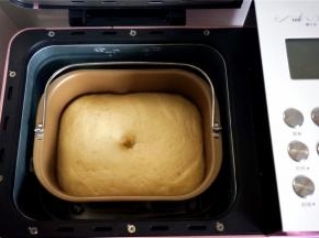 取出搅拌刀，将面团揉圆，放入面包机里，盖上保鲜膜，启动酸奶发酵程序，发酵至两倍大即可。