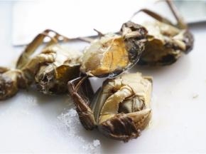 将闸蟹刷洗好剥壳去杂质备用。